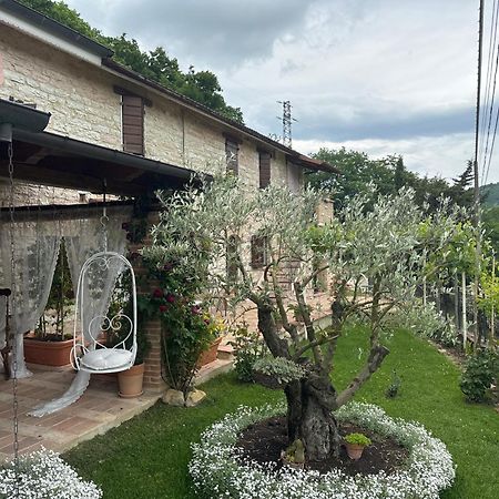 B&B Il Poggetto Serra SantʼAbbondio Extérieur photo