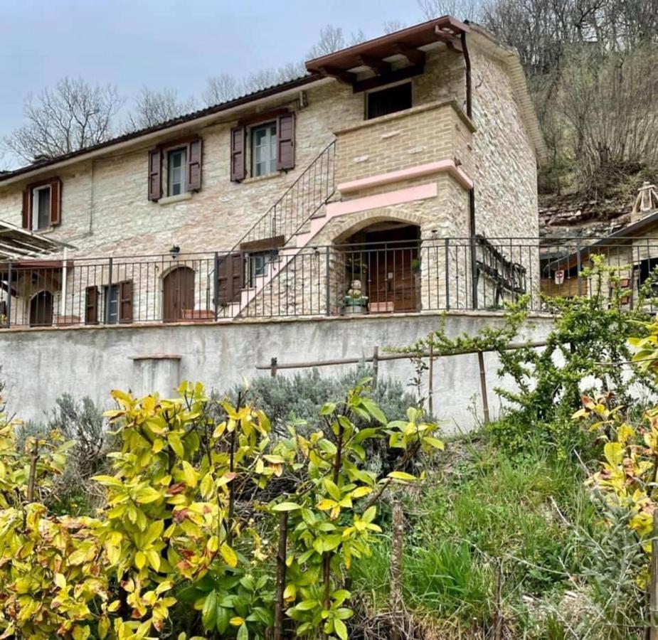 B&B Il Poggetto Serra SantʼAbbondio Extérieur photo