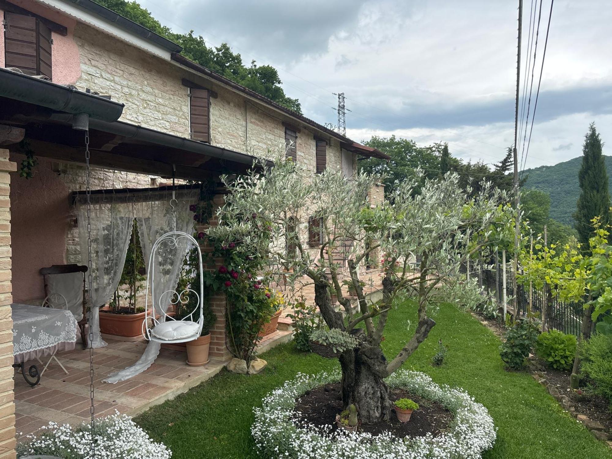 B&B Il Poggetto Serra SantʼAbbondio Extérieur photo
