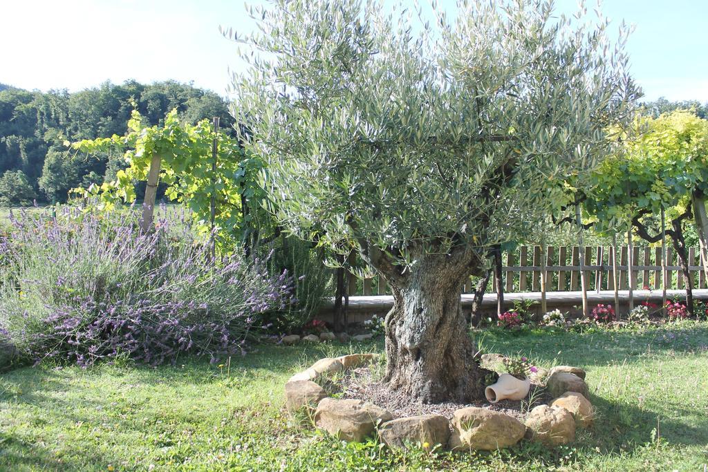 B&B Il Poggetto Serra SantʼAbbondio Extérieur photo