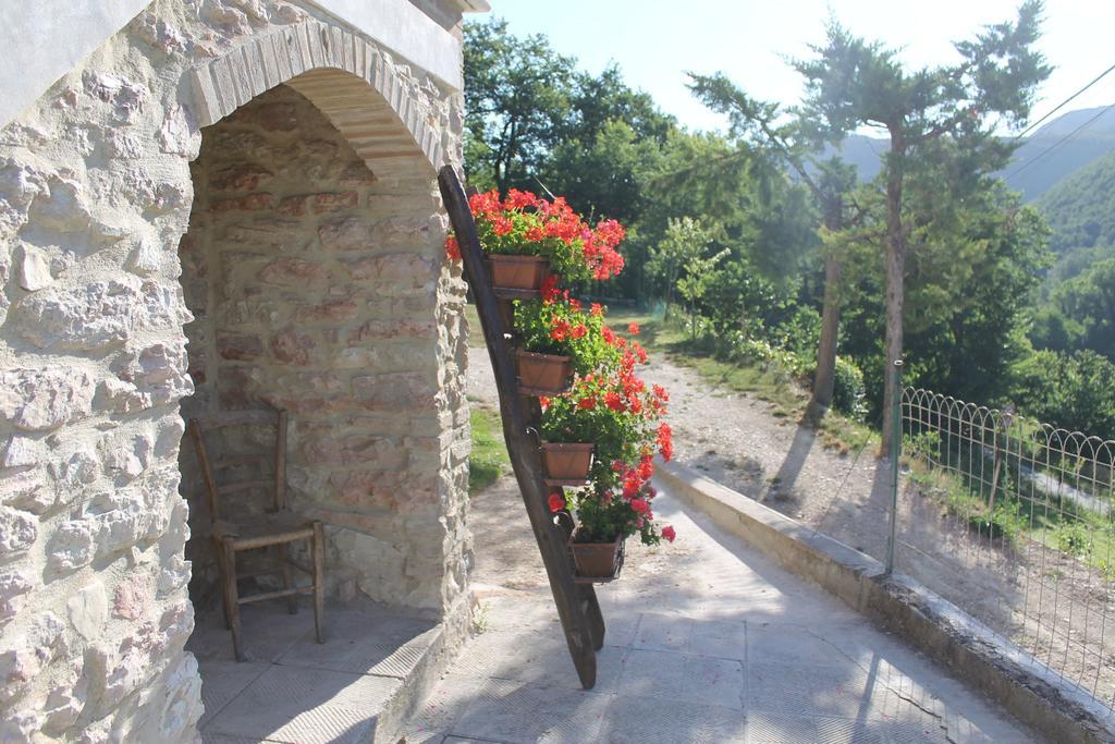 B&B Il Poggetto Serra SantʼAbbondio Extérieur photo